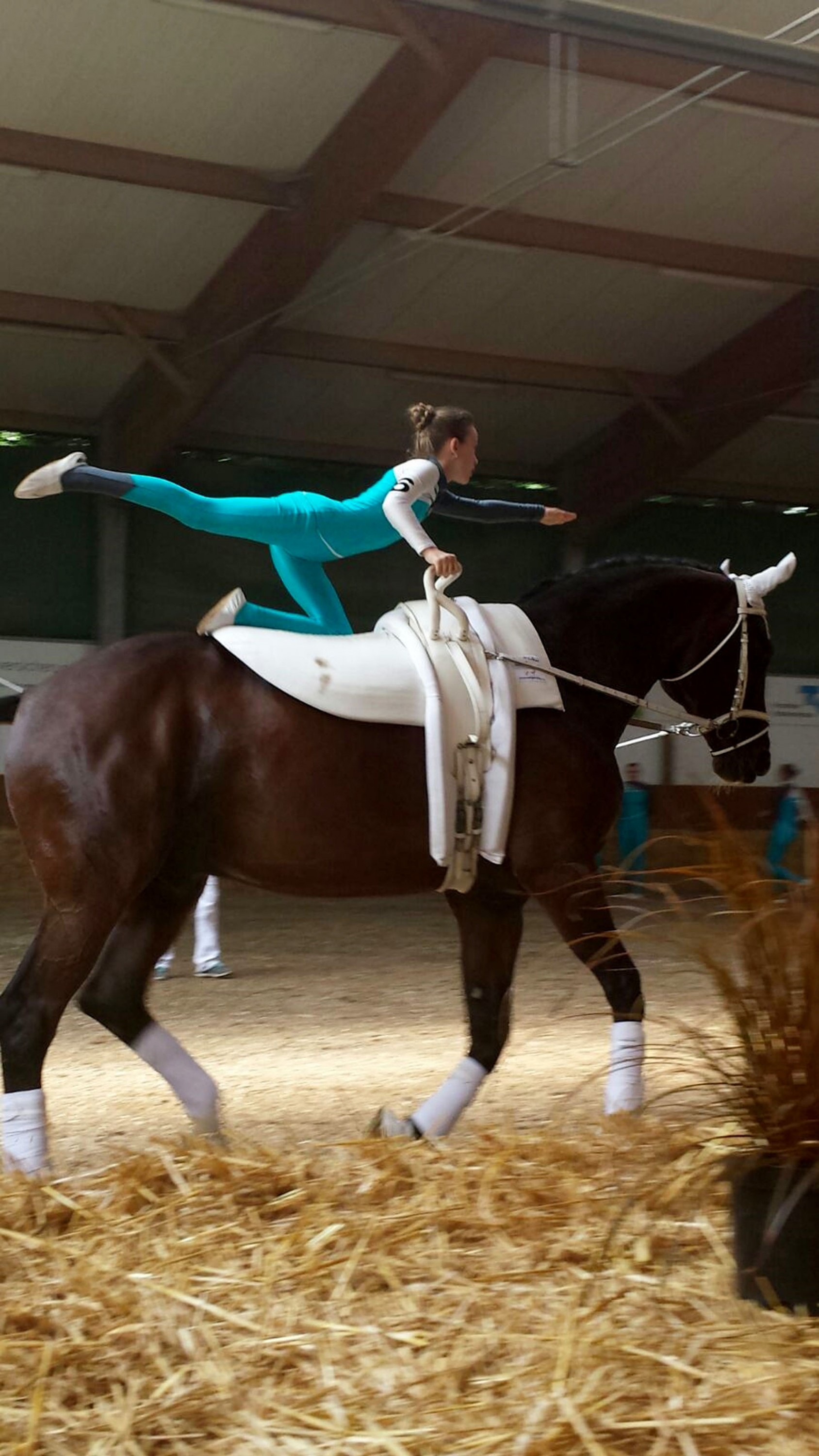 Voltigierturnier Schwaigern - Reiterverein Bietigheim-Bissingen